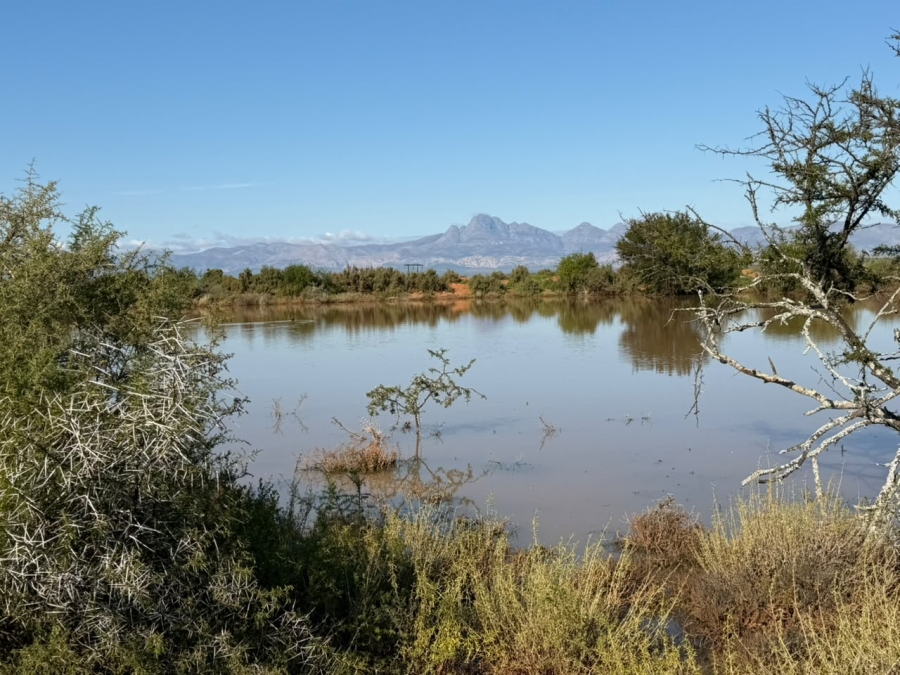 0 Bedroom Property for Sale in Steytlerville Eastern Cape